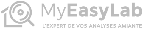 Logo Myeasylab Gris